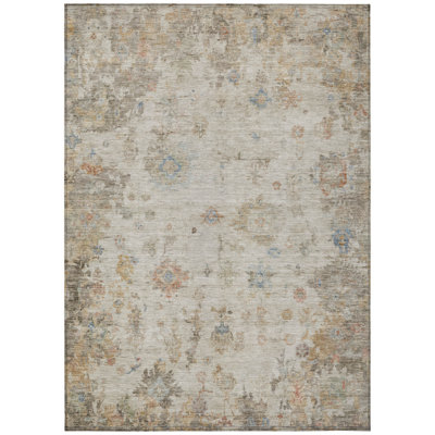 Machine Washable Indoor/Outdoor Emelia ACN2301 Global Rug