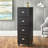 Brodan 15.8'' Wide 4 -Drawer File Cabinet-23541884