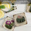Ensemble de 4 sous-verres cactus