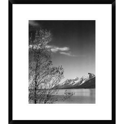 " View Of Mountains With Tree In Foreground, Grand Teton National Park, Wyoming, 1941 " by Ansel Adams