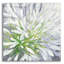 Art mural en verre Cleome Splash 2 'par Julia Purinton-221752337