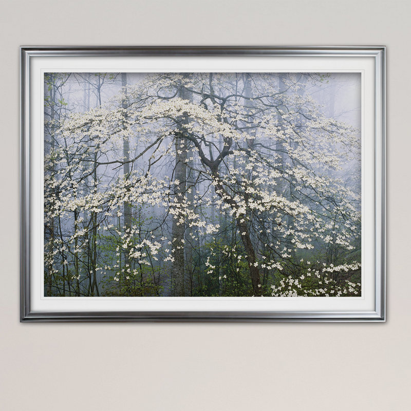 « jones _ dogwood auvent », reproduction d’impression sur toile tendue, H 20 po x l 24 po x P 1,5 po, Cadre argenté