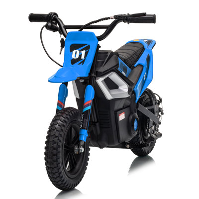 24V 10Ah Kids Electric Dirt Bike 350W Brushless Motor, 14 MPH 133LBS Capacity, Disc Brake, Bluetooth, Key Start for Ages 10 and above, Blue