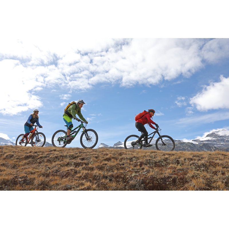 Mountain bikers, 30cm H x 46cm W