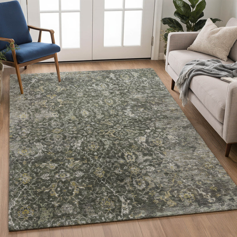 Machine Washable Indoor/Outdoor Chantille ACN2359 Traditional Rug, Rectangle 9' x 12'