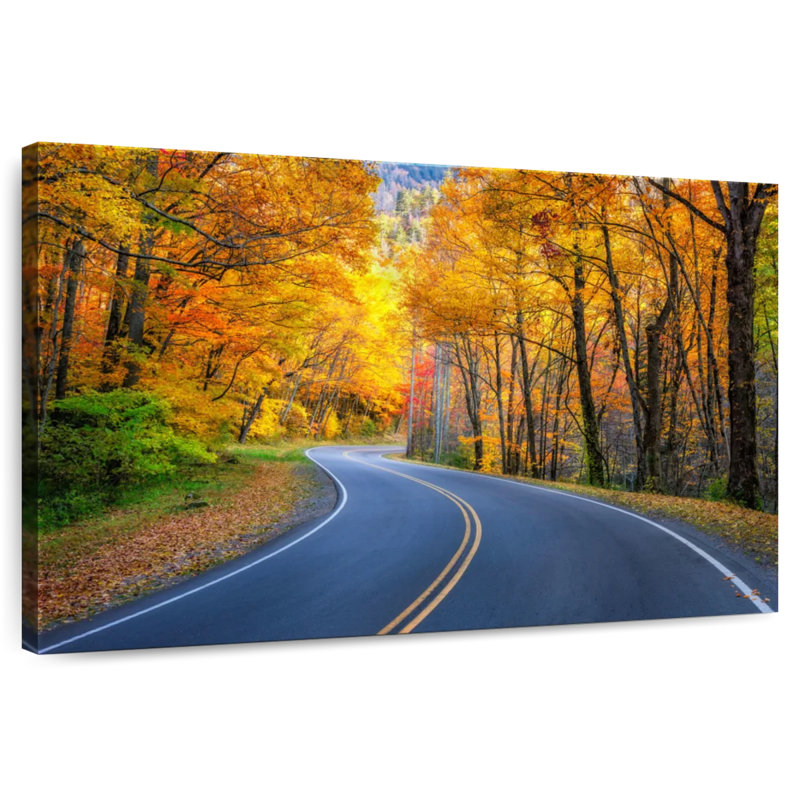 Alvord Road Fall Landscape