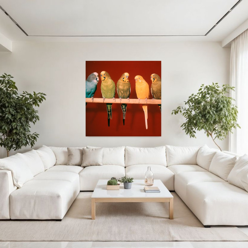 1970S Group Of Five Pet Parakeets Perched Against Red Background Classic Retro Vintage Bird Wall Art, H 48 po x l 48 po