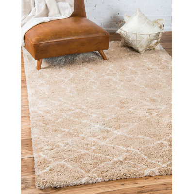 Southwestern Shag Area Rug
