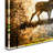 " High Country Deer " by LightBoxJournal-21937199