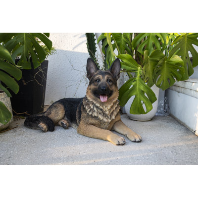 Lying German Shepherd
