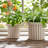 Stoneware Planter Set With Sculpted Rim And Vertical Ridged Texture, Decorative Fluted Detailing And Glossed Ceramic Body For Display And Accent Decor, Set Of 2