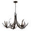 Caribou 5-Light Chandelier-214567361
