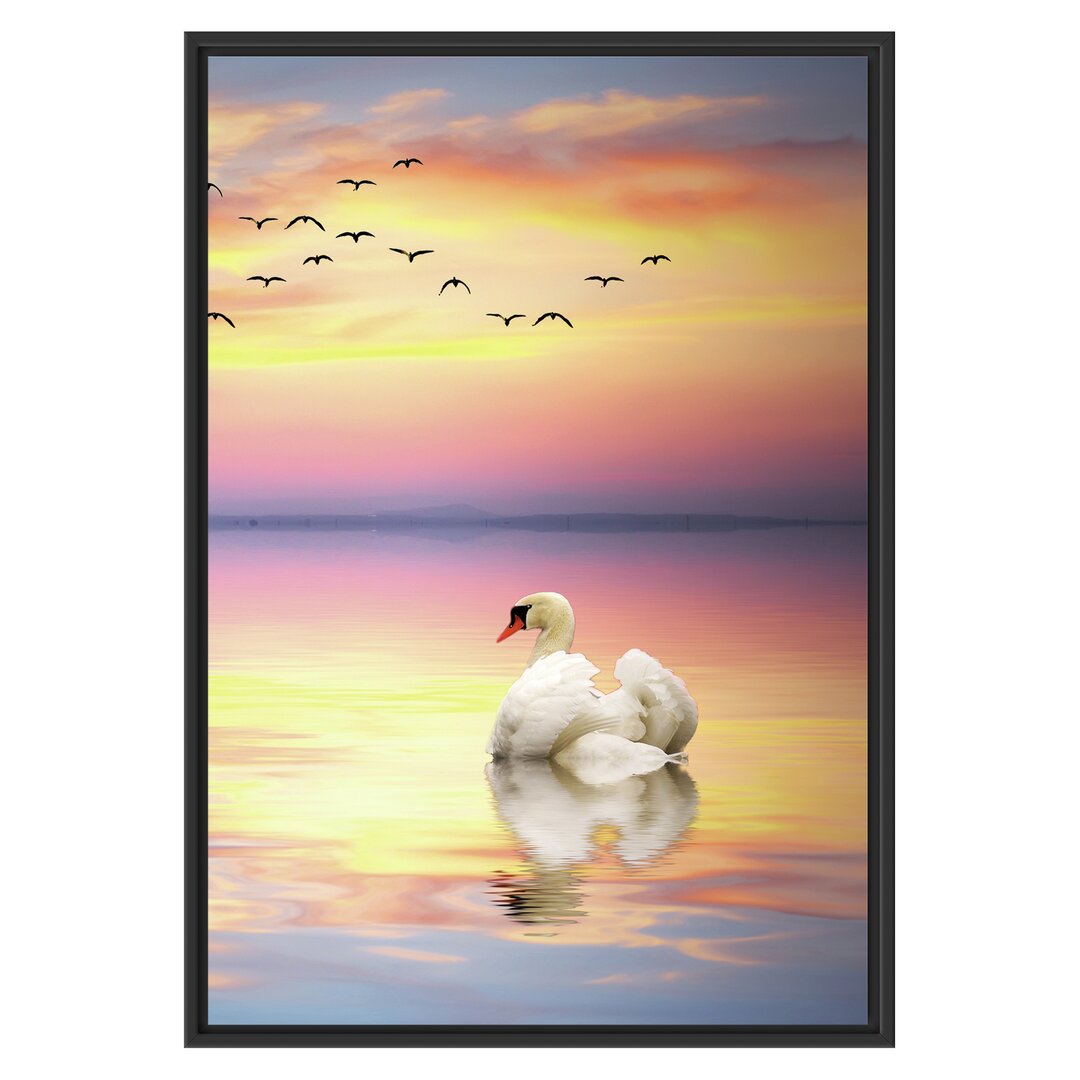 Gerahmtes Wandbild Schwan bei Sonnenuntergang