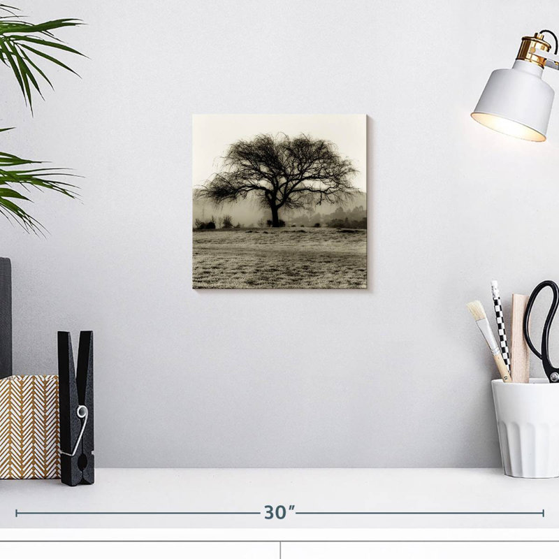 Harnek Black Willow Tree, 10" H x 10" W