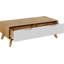 Oriska Four Leg Coffee Table with Storage-1612350296