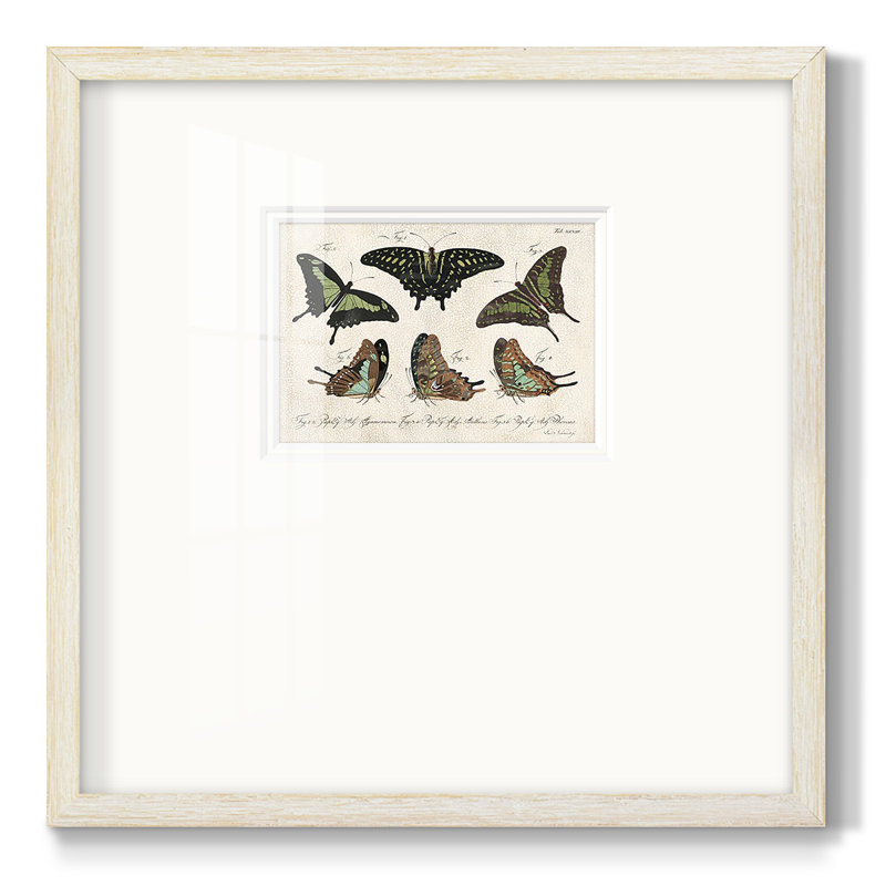 «Crackled Butterflies II», reproduction d'art encadrée, H 17 po x l 17 po x P 1,125 po