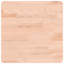 Vidaxl Table Top Square Solid Wood Beech-93674745-93674758