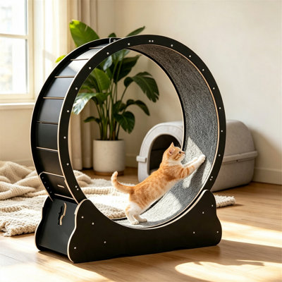 Roue pour chats, tapis roulant pour l'intérieur, roue d'exercice pour chats avec tapis amovible
