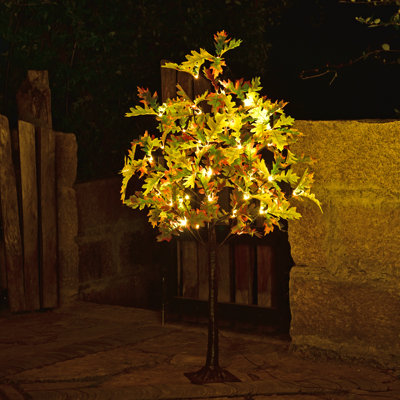 Chêne éclairé avec branches et branches