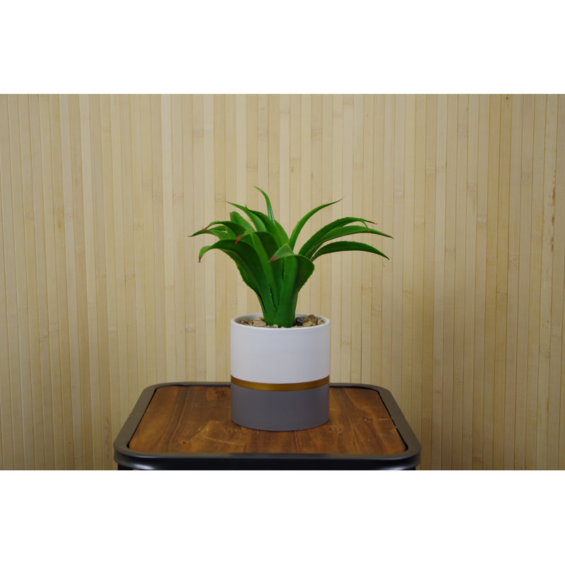 28cm Faux Aloe Plant in Ceramic Pot