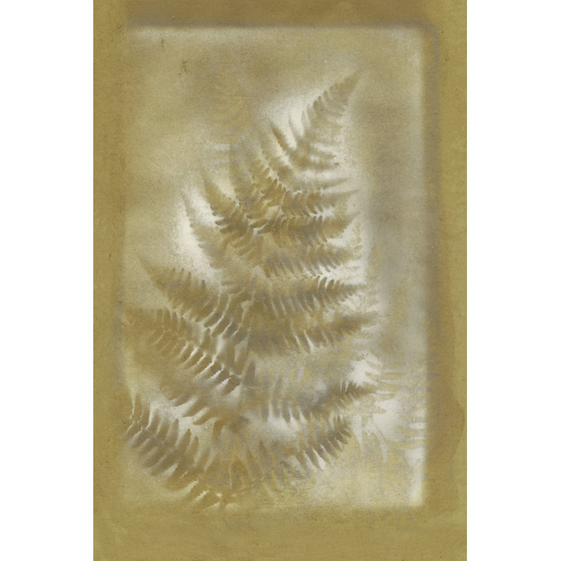 Shadows & Ferns III - Wrapped Canvas Print, 30cm H x 20cm W x 3.8cm D