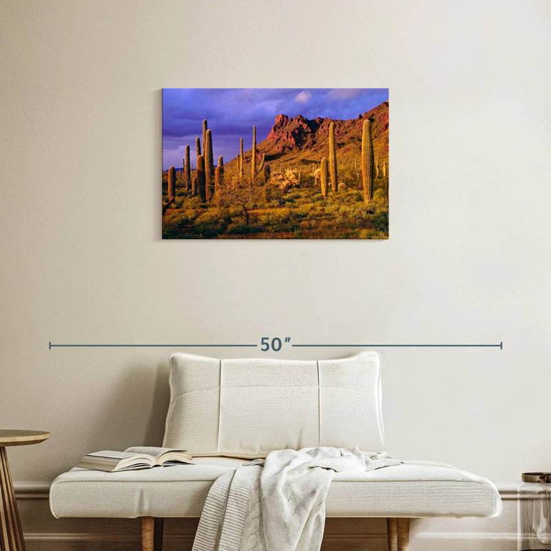 Harnek Arizona Cactus Plants, H 20 po x l 30 po