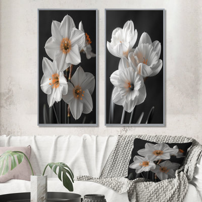 Ensemble de 2 jonquilles botaniques blanches, jaunes et jaunes