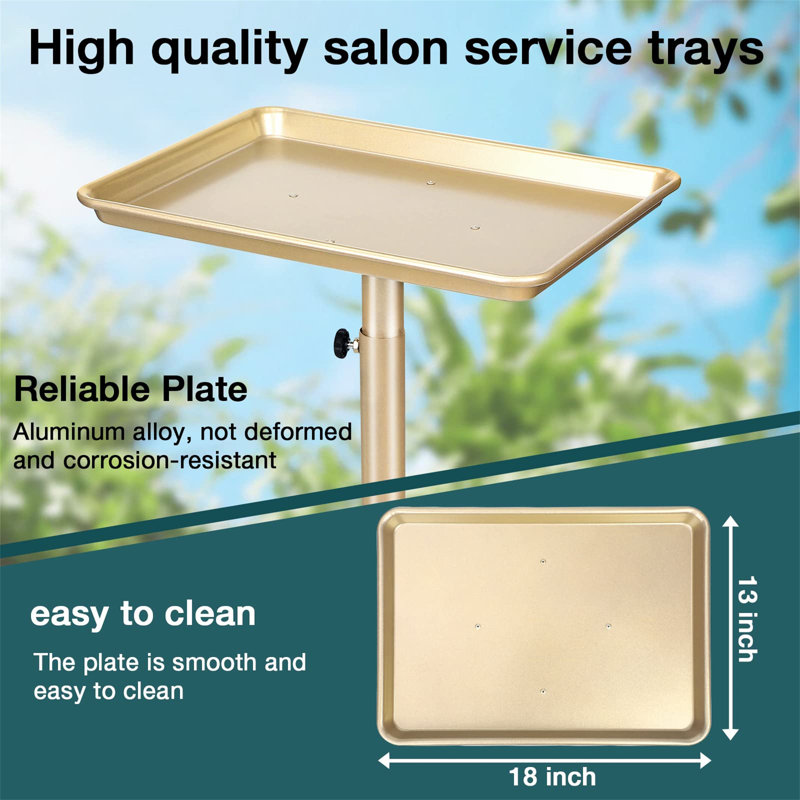Champagne Gold Adjustable Aluminum Salon Tray with Wheels