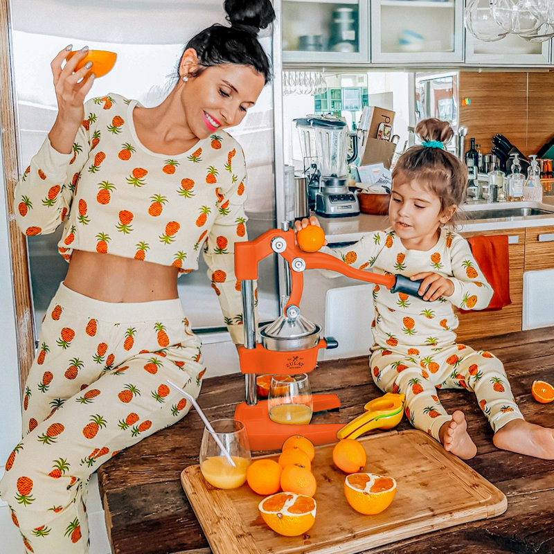 Zulay Kitchen Professional Citrus Juicer, Orange
