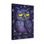 Animaux, hibou, ciel nocturne, étoiles, lune, galaxies, mauve, bleu-1495440148