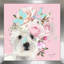 Flower Westies (Square) par By Jodi - impression-1675307211-1675307208