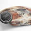 Basset Hound In Abstract Square Throw Cushion-56243670