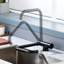 Belfry Kitchen Trowbridge Kitchen Faucet-1469633321