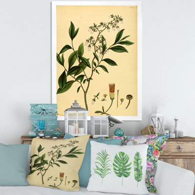 «Vintage Plant Life V», peinture sur toile