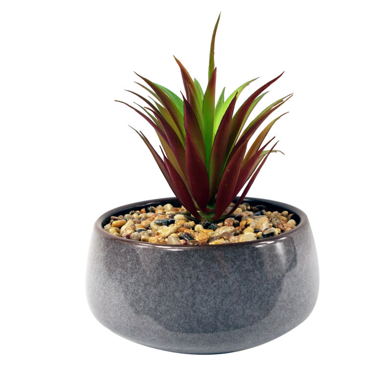 Annistin 18 cm H Faux Plant