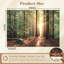 Papier peint adhésif auto-adhésif moderne l 96 po x H 69 po pour chambre à coucher Redwood Forest-1818344506