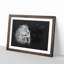 Wild Lioness - Picture Frame Graphic Art Print-56864188-56864186