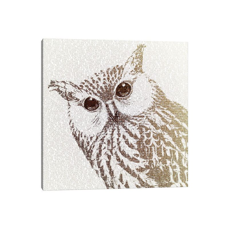 The Intellectual Owl I by Paula Belle Flores - Wrapped Canvas Gallery-Wrapped Canvas Giclée, 30.48 cm H x 30.48 cm W