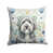 Berger anglais gris / blanc