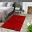 Non Slip Area Rug Low Pile Bedroom Rugs Machine Washable Floor Mat Living Room Carpet - NT0201-1011851719