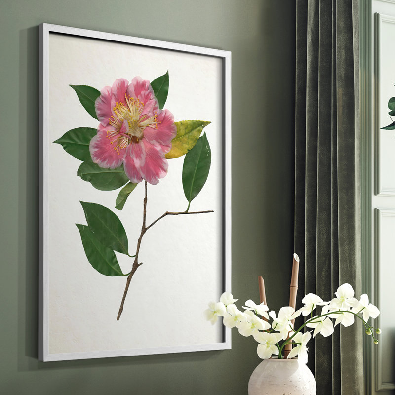 Reproduction encadrée pressée Camellia II - bois massif, Blanc, H 20 po x l 16 po