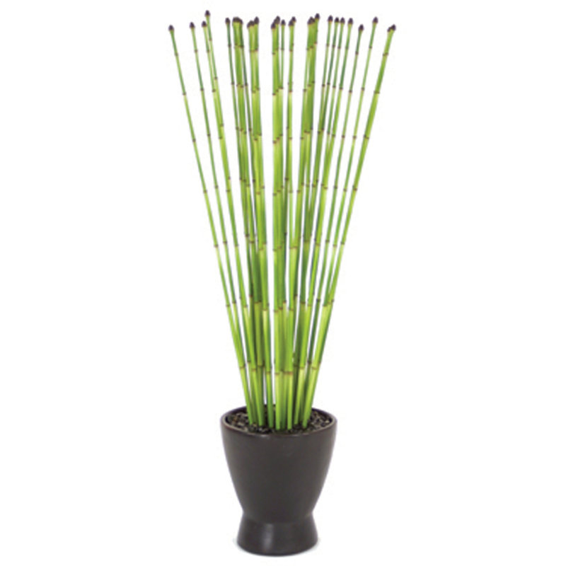 32'' Grass in Earthenware Pot
