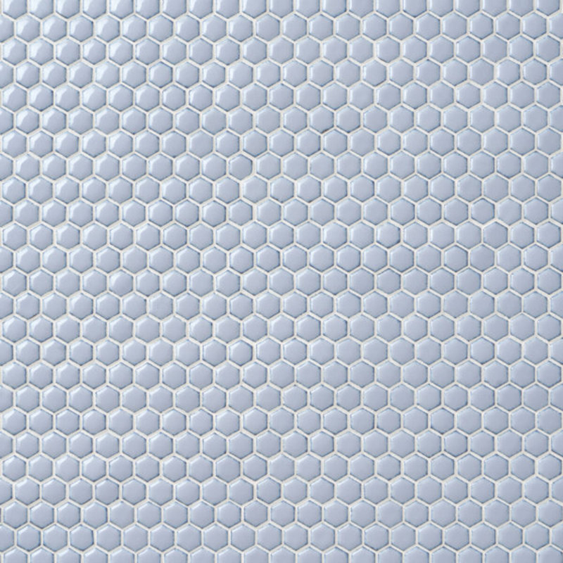Eden 1" Rimmed Hexagon Polished Porcelain Mosaic Tile, Gray