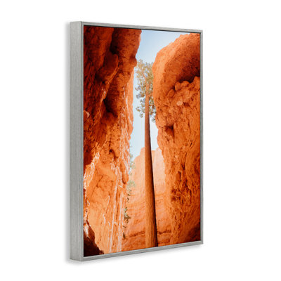 Jetée de Bryce Canyon, giclée encadrée, conception par Jade Sharp Photo