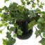 Faux Ivy Plant in Ceramic Pot