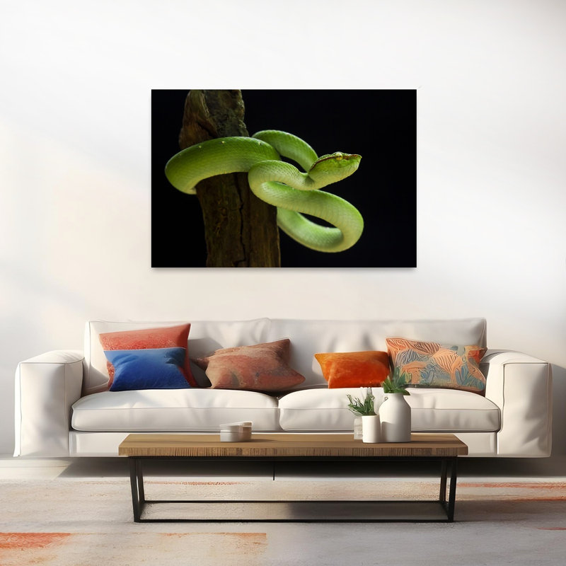 Vibrant Green Viper Snake Tropical Wall Art Print 1 Piece Wrapped Canvas Wall Art, 101.6cm H x 152.4cm W