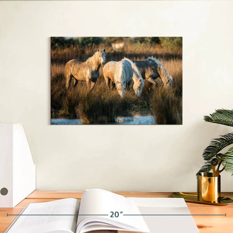Ronce les chevaux blancs de Camargue VII, H 8 po x l 12 po