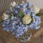 Anastasija Arrangement