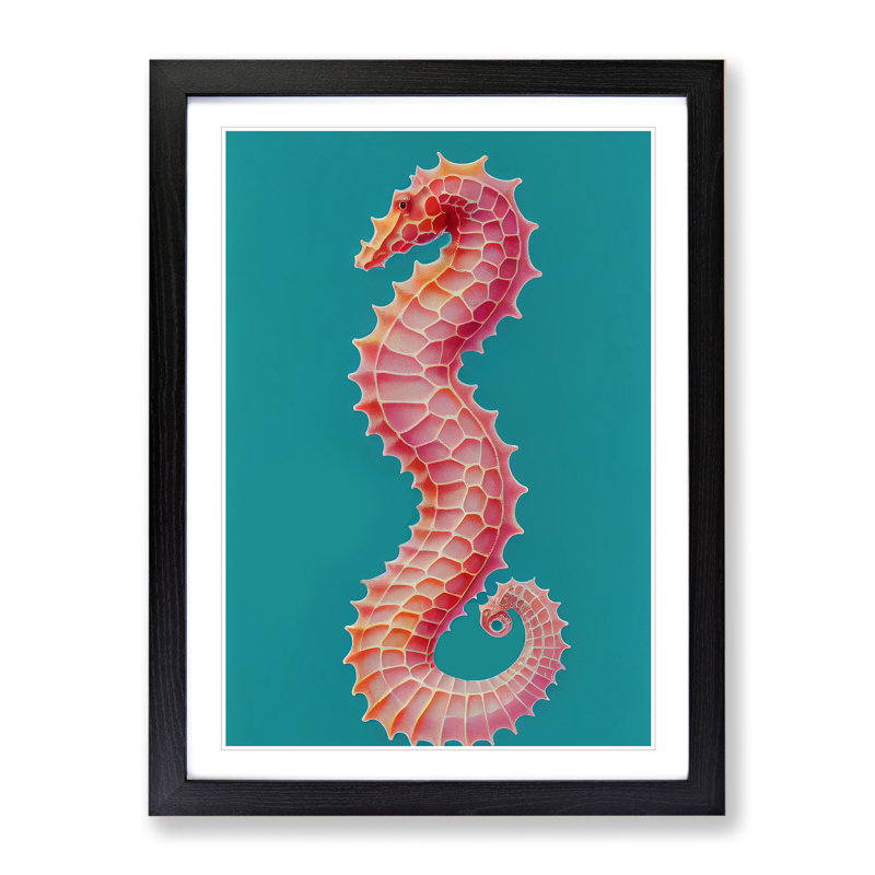 Profile Of A Seahorse No.1 - Single Picture Frame Print, Black Framed, 46cm H x 34cm W x 2cm D