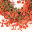 26" Artificial Farmhouse Fall Harvest Twig Blossoms Cluster Greenery Mini Eucalyptus Thanksgiving Day Front Door Wreath